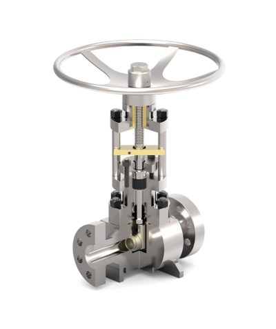 Bellow Sealed Gate Valves | Trillium Flow Technologies™